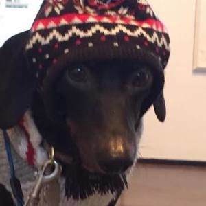 Meet your Posher, Ken